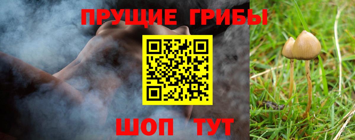 Нурлат  Галлюциногенные грибы Psilocybine cubensis  Псилоцибиновые грибы мицелий  Вход с VPN 